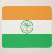 Flagge Miami (Florida)