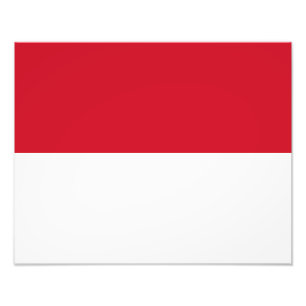 Flagge Monacos Fotodruck