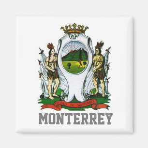 Flagge Monterrey, Nuevo León - MEXIKO Magnet