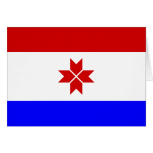 Flagge Mordowiens