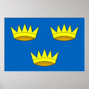 Flagge Munsters, Irland Poster