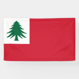 Flagge New England Banner