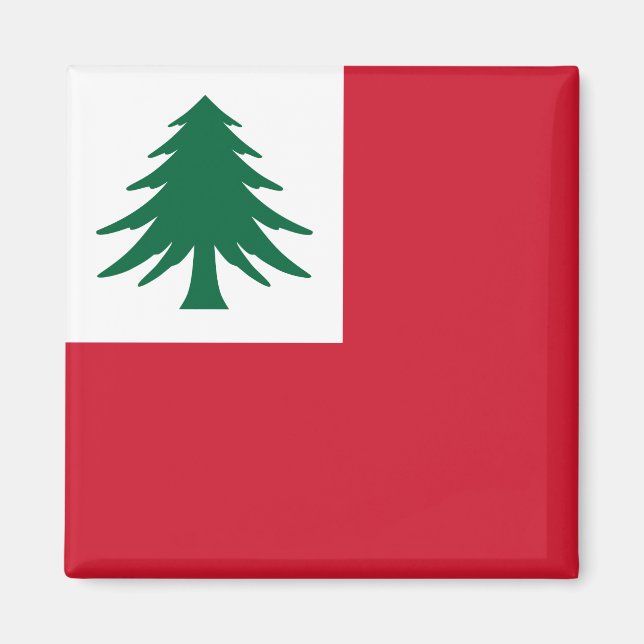 Flagge New England Magnet (Vorne)