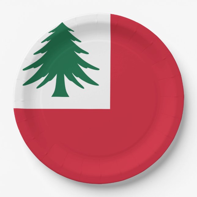 Flagge New England Pappteller (Vorderseite)