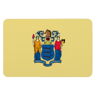 Flagge New Jersey Magnet