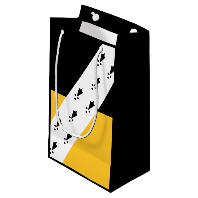 Flagge Norfolk Small Gift Bag Kleine Geschenktüte (Vorderseite Schrägansicht)