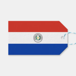 Flagge Paraguays Geschenkanhänger