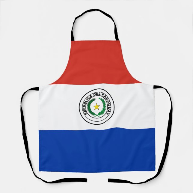 Flagge Paraguays Schürze (Vorderseite)