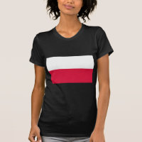 Flagge Polens