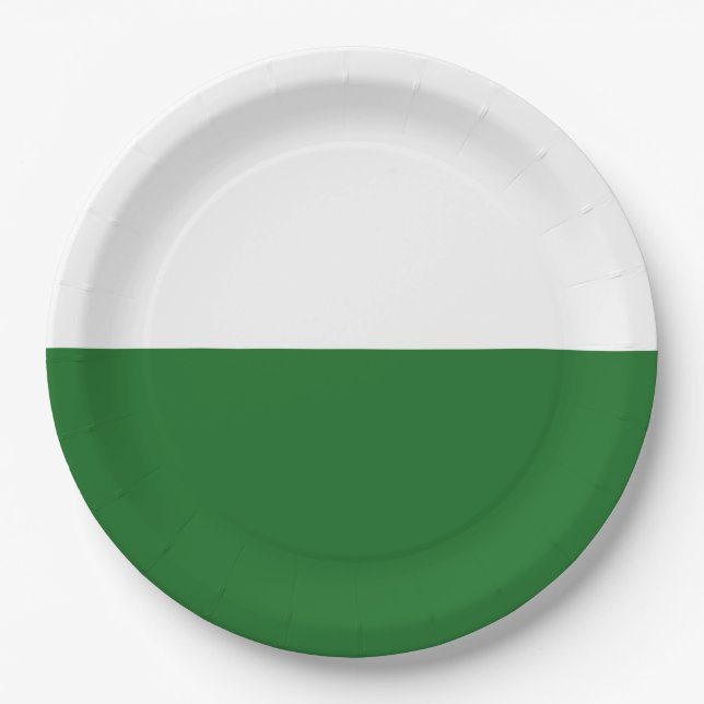 Flagge Sachsens (deutscher Staat) Pappteller (Vorderseite)