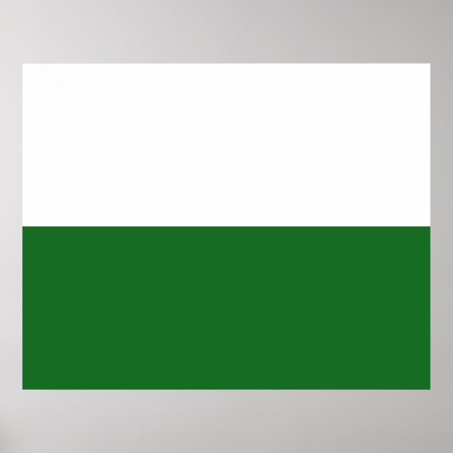 Flagge Sachsens (deutscher Staat) Poster (Vorne)