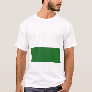 Flagge Sachsens (deutscher Staat) T-Shirt
