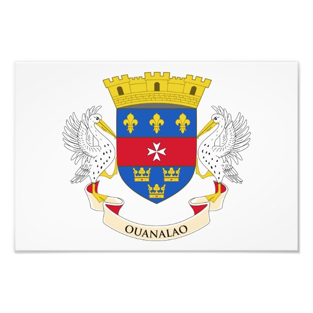 Flagge Saint Barthélemy Fotodruck (Vorne)