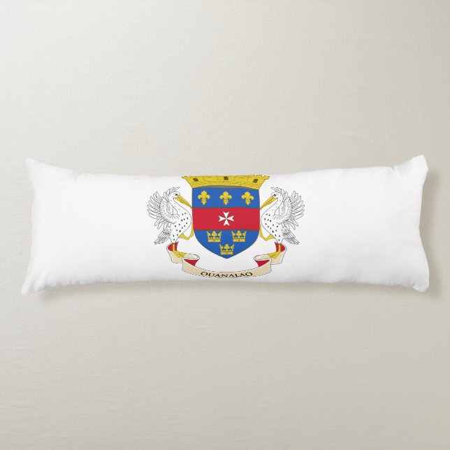 Flagge Saint Barthélemy Seitenschläferkissen (Vorderseite)