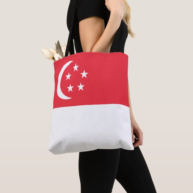 Flagge Singapurs (Von Nahem)