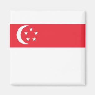 Flagge Singapurs Magnet