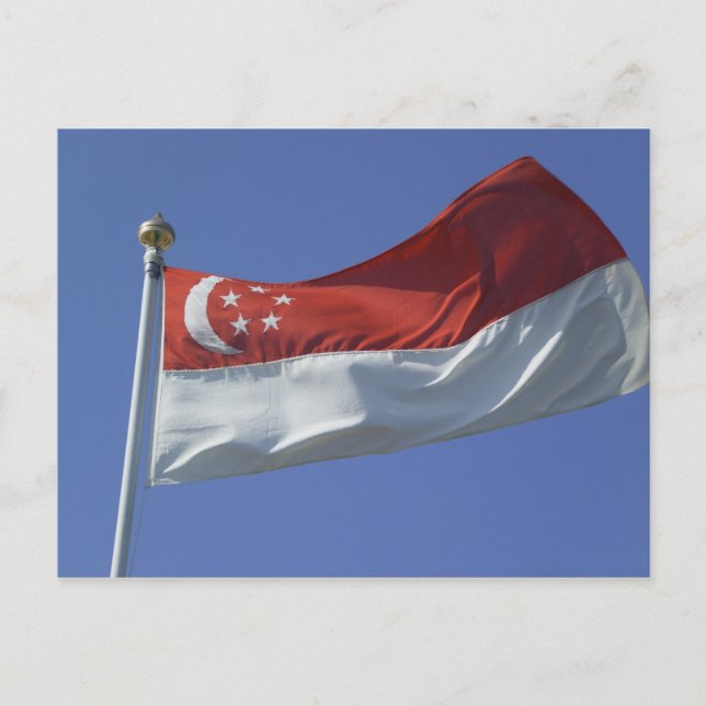 Flagge Singapurs Postkarte (Vorderseite)