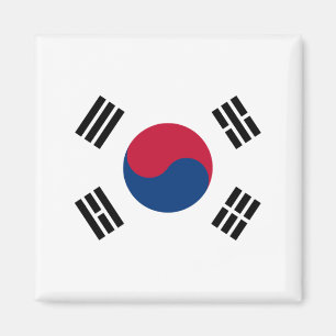 Flagge Südkoreas Magnet