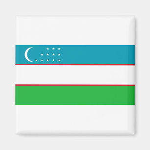 Flagge Usbekistans Magnet
