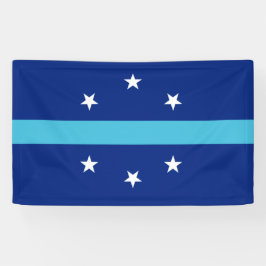 Flagge von Anaheim (Kalifornien, USA) Banner