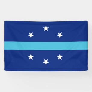 Flagge von Anaheim (Kalifornien, USA) Banner