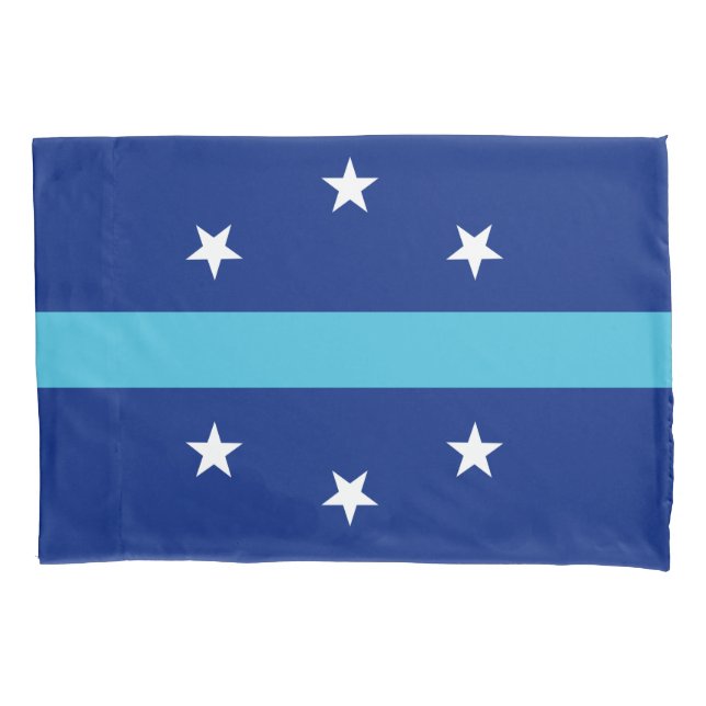 Flagge von Anaheim (Kalifornien, USA) Kissenbezug (Vorderseite-Links)