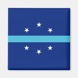 Flagge von Anaheim (Kalifornien, USA) Magnet