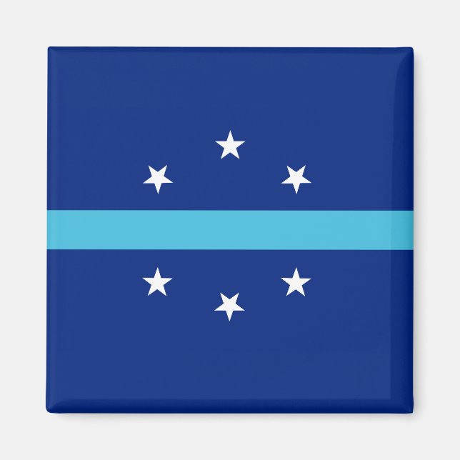 Flagge von Anaheim (Kalifornien, USA) Magnet