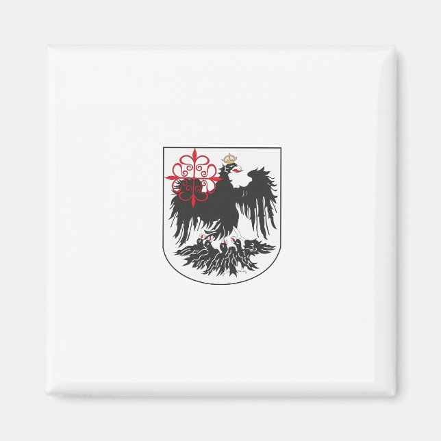 Flagge von Buenos Aires (Argentinien) Magnet (Vorne)