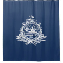 Flagge von Charleston (South Carolina)