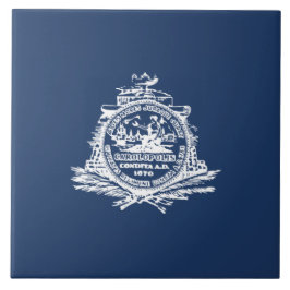 Flagge von Charleston (South Carolina) Fliese