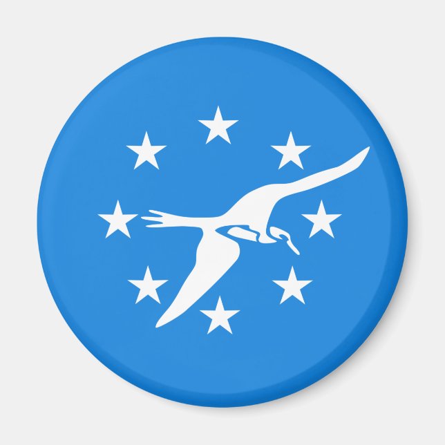 Flagge von Corpus Christi, Texas Magnet (Vorne)