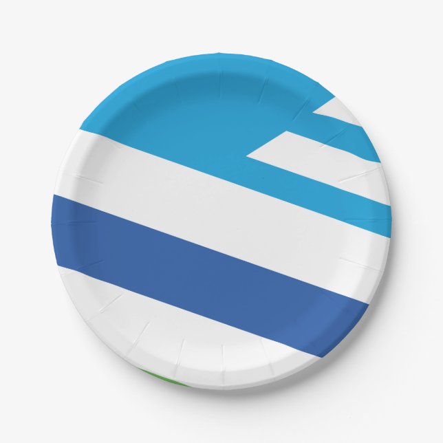 Flagge von Dayton, Ohio Pappteller (Vorderseite)