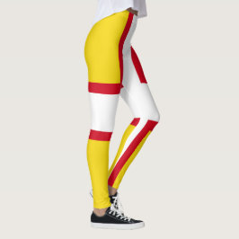 Flagge von Dorset (Landkreis des Vereinigten König Leggings