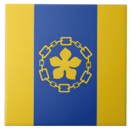 Flagge von Hamilton (Ontario, Kanada) Fliese