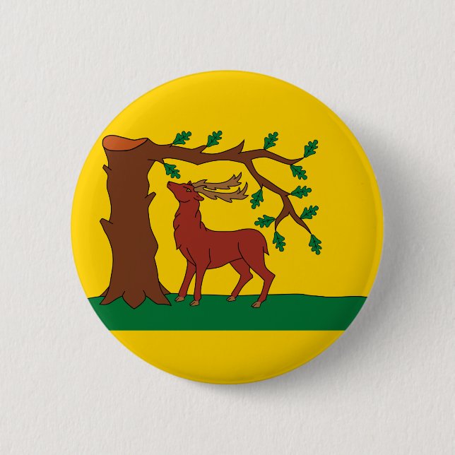 Flagge von historischem Landkreis von Berkshire Button (Vorderseite)