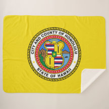 Flagge von Honolulu (Hawaii)