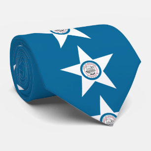 Flagge von Houston, Texas Neck Tie Krawatte