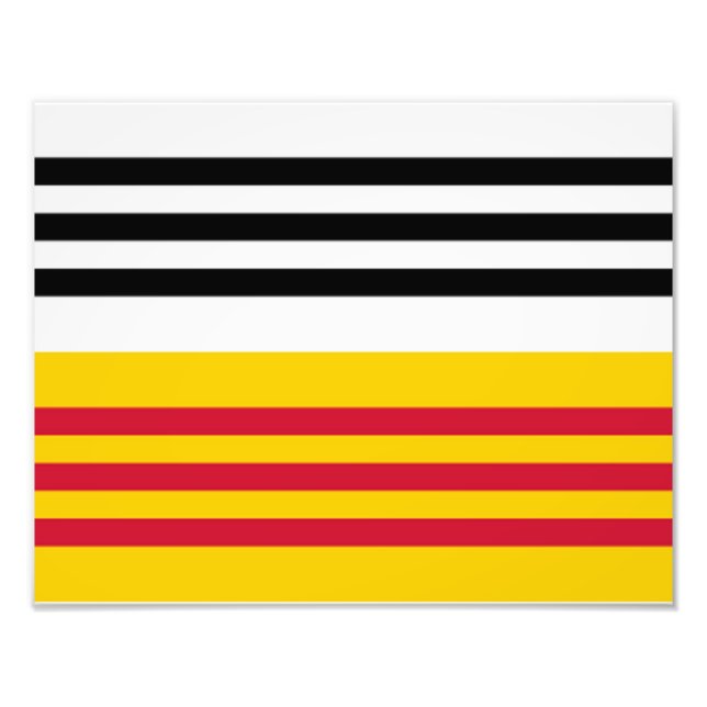 Flagge von Loon op Zand Fotodruck (Vorne)