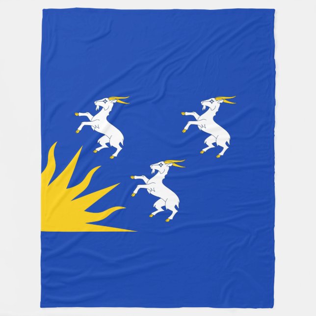 Flagge von Merionethshire Fleece Blanket (Vorderseite)