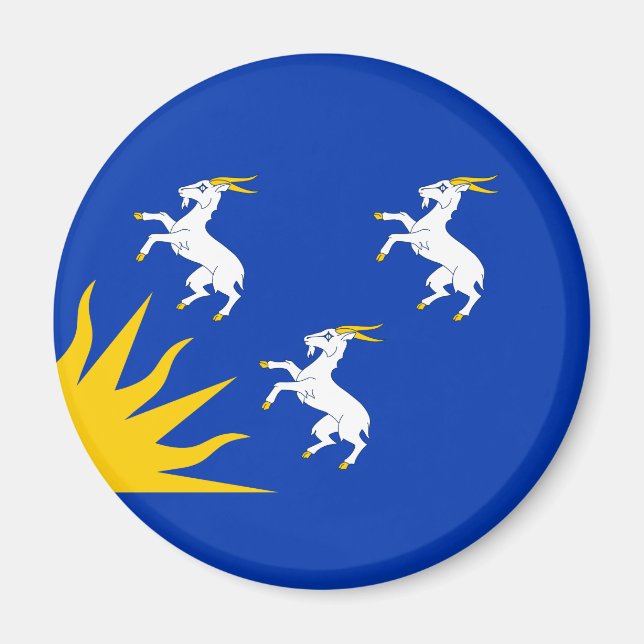 Flagge von Merionethshire Magnet (Vorne)