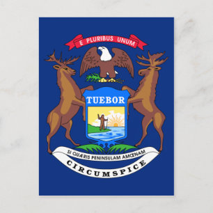 Flagge von Michigan Postkarte