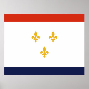 Flagge von New Orleans Poster