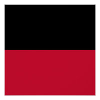 Flagge von Nijmegen