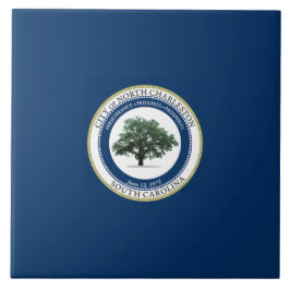Flagge von Nord-Charleston (South Carolina) Fliese