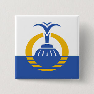Flagge von Orlando, Florida. Button