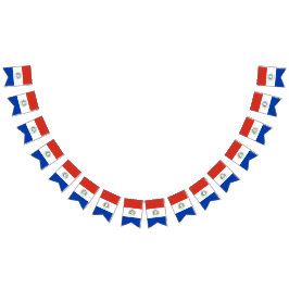 Flagge von Paraguay