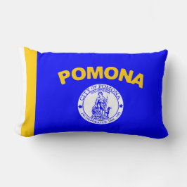 Flagge von Pomona (Kalifornien) Lendenkissen