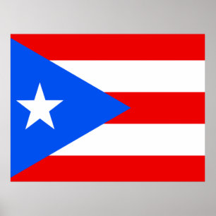 Flagge von Puerto Rico Poster