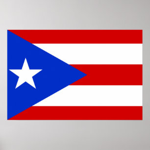 Flagge von Puerto Rico Poster